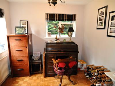 Picture 19